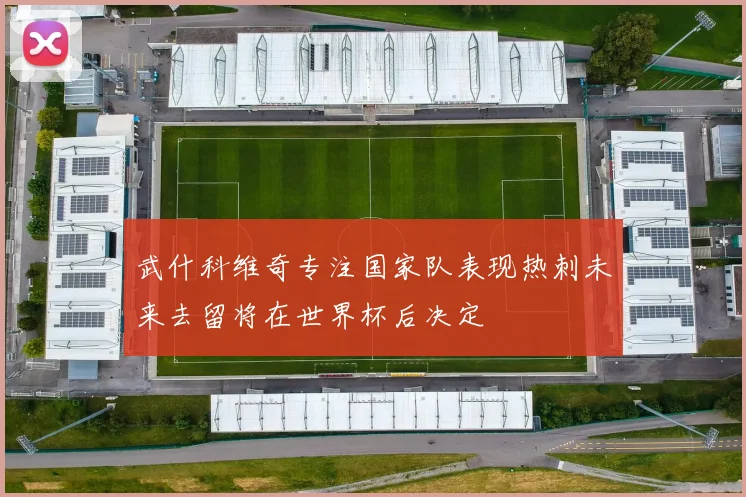 武什科维奇专注国家队表现热刺未来去留将在世界杯后决定