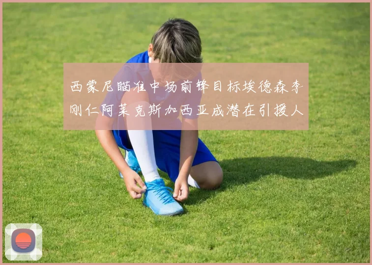 西蒙尼瞄准中场前锋目标埃德森李刚仁阿莱克斯加西亚成潜在引援人选