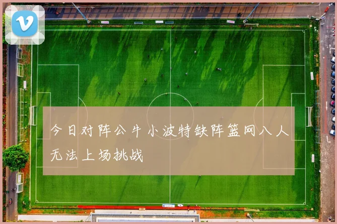 今日对阵公牛小波特缺阵篮网八人无法上场挑战