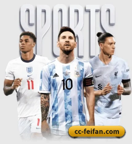 本站五个常用功能入口,赛程查询路径更短