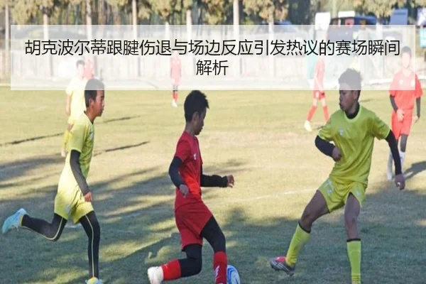 胡克波尔蒂跟腱伤退与场边反应引发热议的赛场瞬间解析